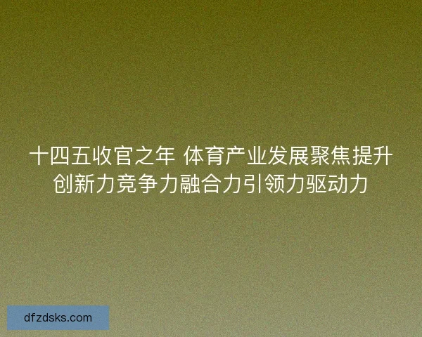 十四五收官之年 体育产业发展聚焦提升创新力竞争力融合力引领力驱动力